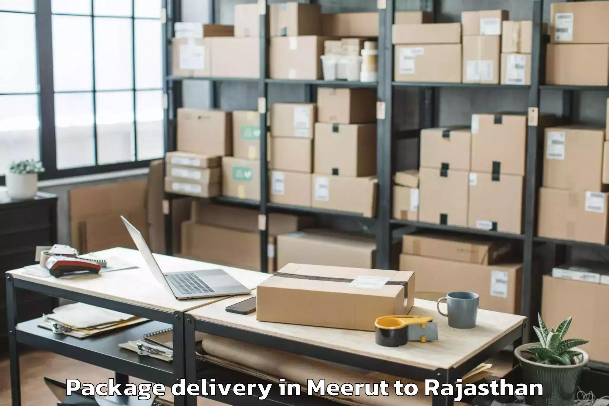 Easy Meerut to Bagidora Package Delivery Booking